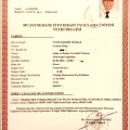 Resmi büyüt: certificate 4