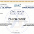 Resmi büyüt: certificate 25