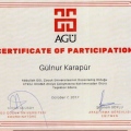 Resmi büyüt: certificate 6