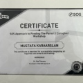 Resmi büyüt: certificate 6