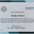 Resmi büyüt: certificate 1