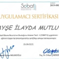 Resmi büyüt: certificate 1