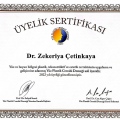 Resmi büyüt: certificate 10