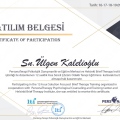Resmi büyüt: certificate 5