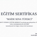Resmi büyüt: certificate 2