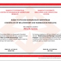 Resmi büyüt: certificate 1