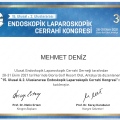 Resmi büyüt: certificate 8