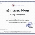 Resmi büyüt: certificate 21