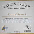 Resmi büyüt: certificate 3