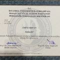 Resmi büyüt: certificate 2