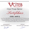 Resmi büyüt: certificate 1