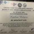 Resmi büyüt: certificate 11