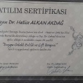 Resmi büyüt: certificate 6