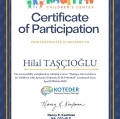 Resmi büyüt: certificate 13