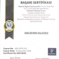 Resmi büyüt: certificate 13