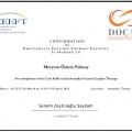 Resmi büyüt: certificate 3