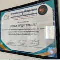 Resmi büyüt: certificate 2