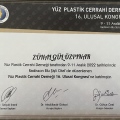 Resmi büyüt: certificate 5