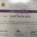 Resmi büyüt: certificate 18