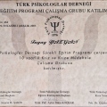 Resmi büyüt: certificate 4