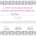 Resmi büyüt: certificate 7