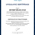 Resmi büyüt: certificate 17