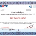 Resmi büyüt: certificate 7