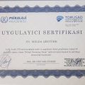 Resmi büyüt: certificate 1