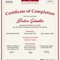 Resmi büyüt: certificate 2