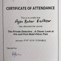 Resmi büyüt: certificate 4