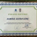 Resmi büyüt: certificate 15