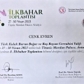 Resmi büyüt: certificate 26