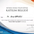 Resmi büyüt: certificate 3