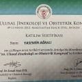 Resmi büyüt: certificate 2