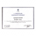 Resmi büyüt: certificate 31