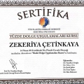 Resmi büyüt: certificate 13