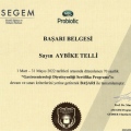 Resmi büyüt: certificate 1