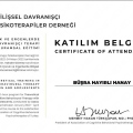 Resmi büyüt: certificate 25