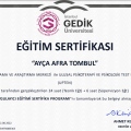 Resmi büyüt: certificate 2