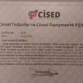Resmi büyüt: certificate 4