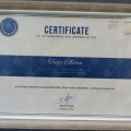 Resmi büyüt: certificate 3