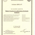 Resmi büyüt: certificate 3