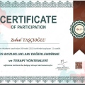 Resmi büyüt: certificate 17