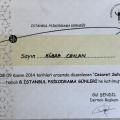 Resmi büyüt: certificate 6
