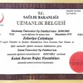 Resmi büyüt: certificate 19