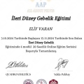 Resmi büyüt: certificate 7