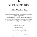 Resmi büyüt: certificate 27
