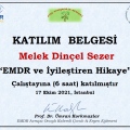 Resmi büyüt: certificate 12