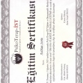 Resmi büyüt: certificate 2