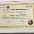 Resmi büyüt: certificate 24